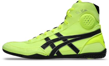 DAN GABLE EVO 3