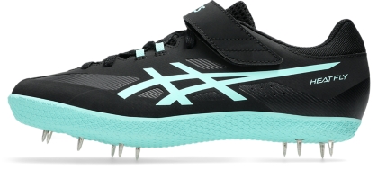 HEAT FLY 2