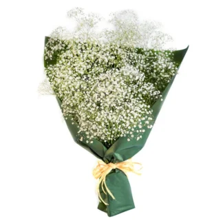 COSTCO BABY'S BREATH BOUQUET WHITE