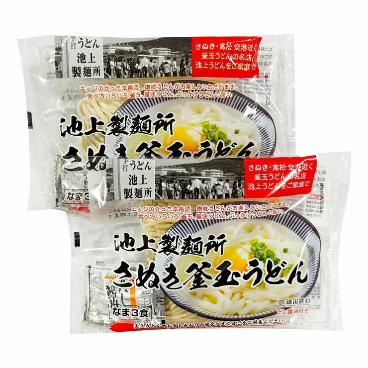 COSTCO IkegamiSeimensyo Sanuki Udon Noodle with Dashi Soy Sauce