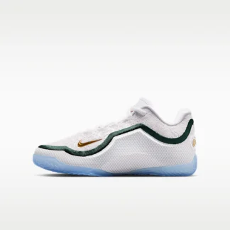 NIKE LeBron XXIII "From This Point Forward" — Big Kids' Basketball Shoes