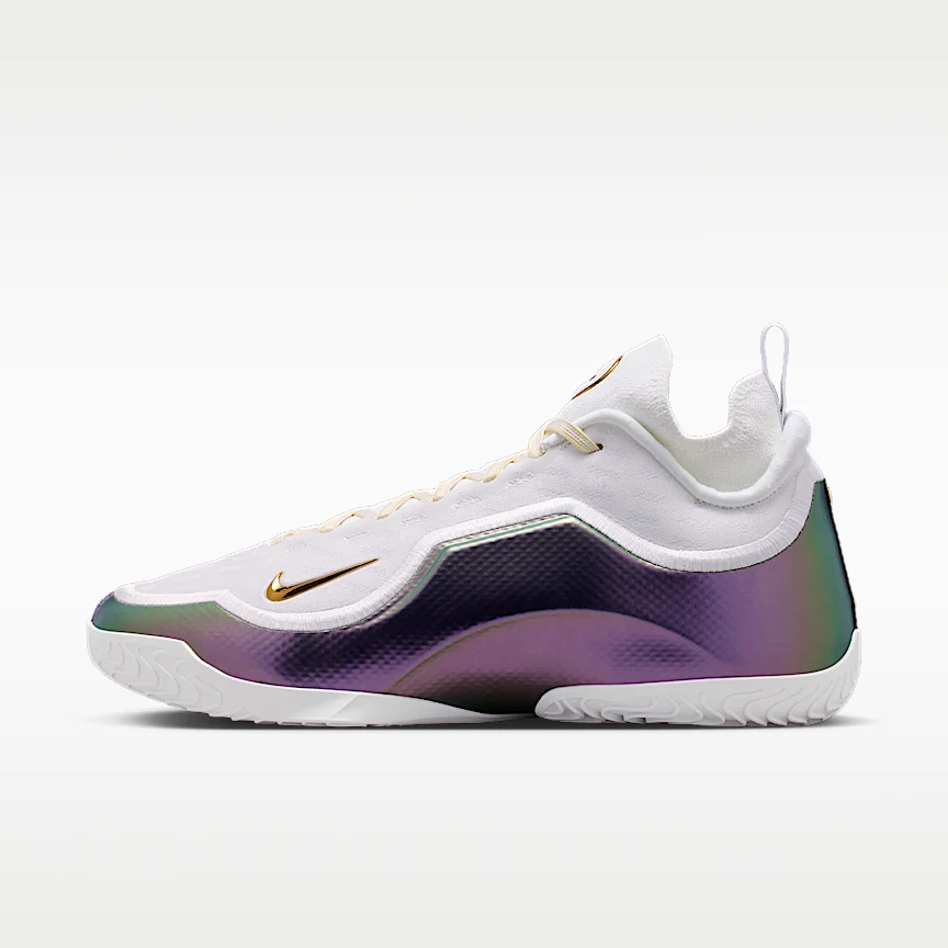 NIKE レブロン 23 エリート "For the Record" EP — バスケットボールシューズ