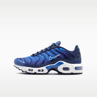 NIKE Air Max Plus SE — Big Kids' Shoes