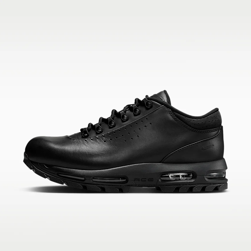NIKE エア マックス ゴアドーム LOW SP — メンズシューズ