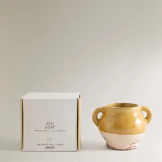 ZARA (170 G) FIG LEAF SCENTED CANDLE