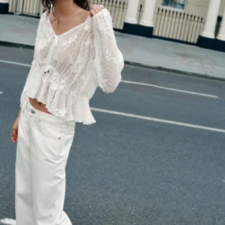 ZARA DOTTED MESH EMBROIDERED BLOUSE