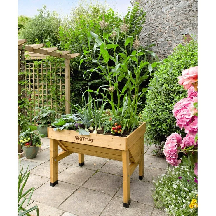COSTCO VegTrug S - Image 3