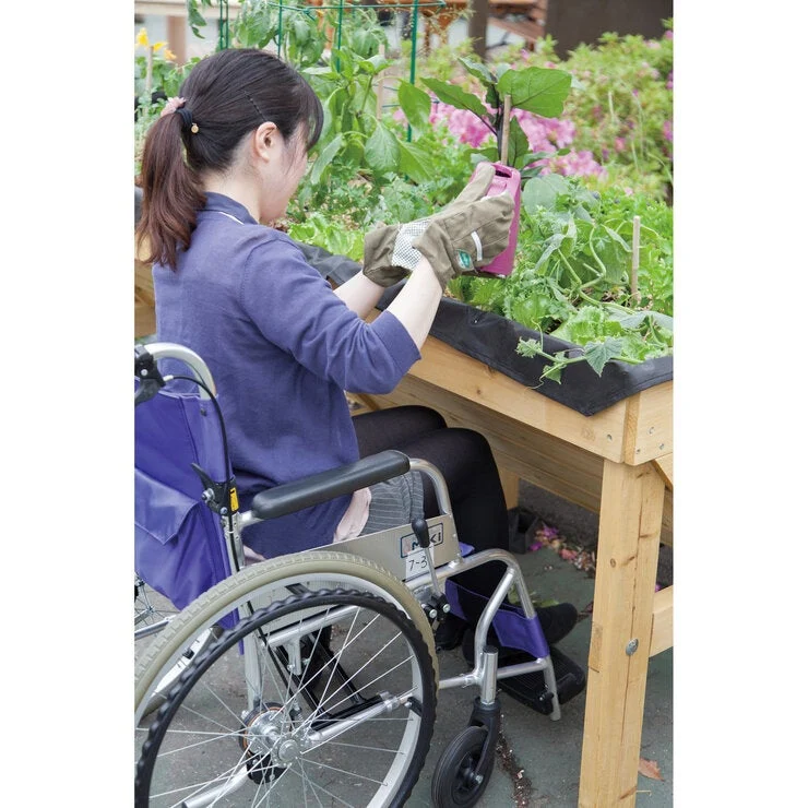 COSTCO VegTrug S - Image 4