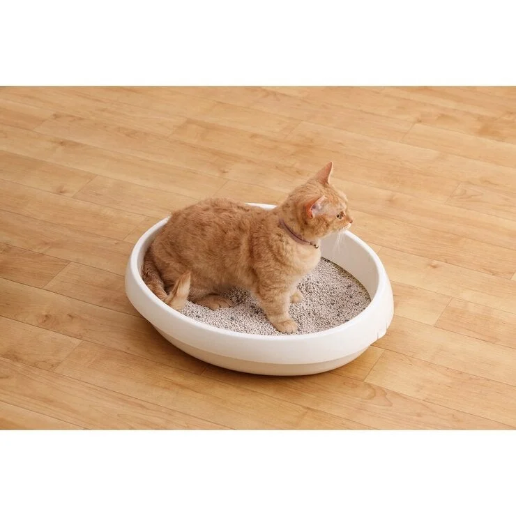 COSTCO Clean Sand Odorless Cat Litter 5L x 4 Bags - Image 5