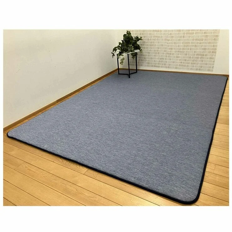 COSTCO S.Nishikawa Cooling Extra Thick Rug 200 x 270cm - Image 3
