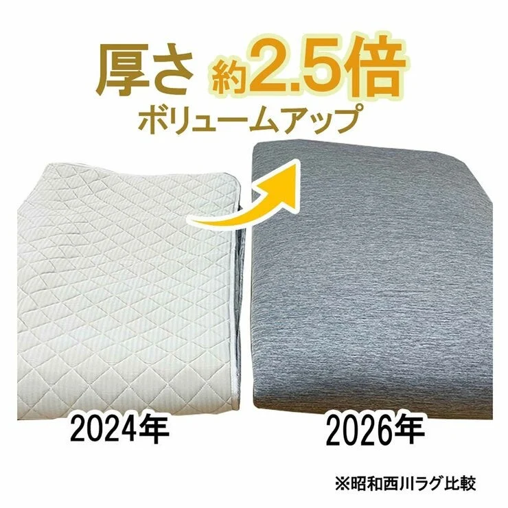 COSTCO S.Nishikawa Cooling Extra Thick Rug 200 x 270cm - Image 5
