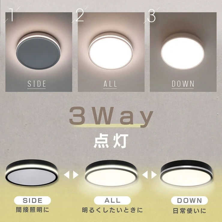 COSTCO Edison Smart TREO Ceiling Light Black/ White - Image 3