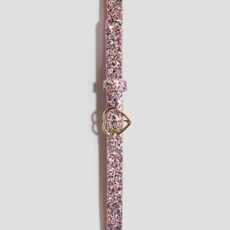 H&M Glittery belt