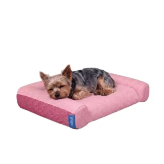 COSTCO GUGU Doggie Senior XS Size