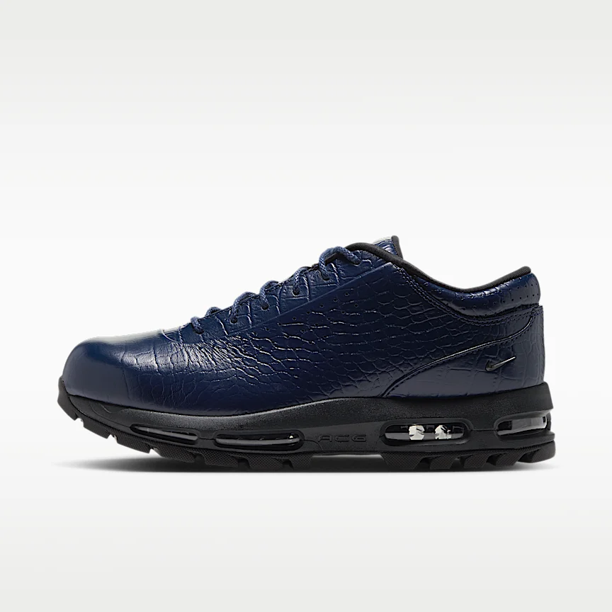 NIKE エア マックス ゴードーム LOW — メンズシューズ